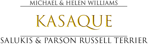 Kasaque